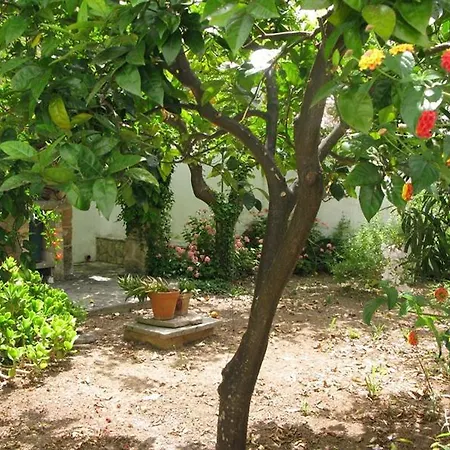 Vico Gagliani Tatil Evi