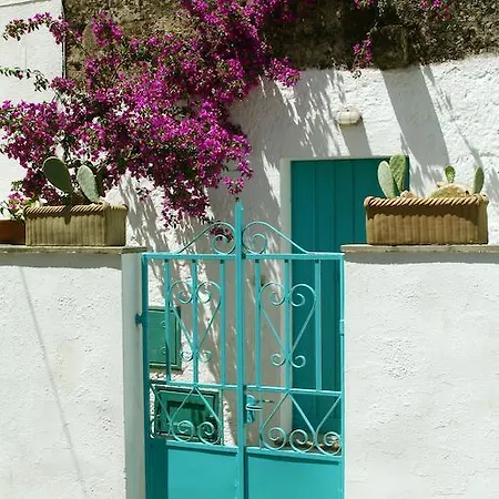 Tatil Evi Vico Gagliani *